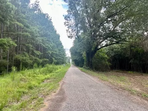 0000 Tynes Rd, Sandy Hook, MS 39478 photo 11