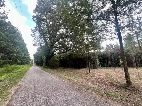 0000 Tynes Rd, Sandy Hook, MS 39478 photo 13