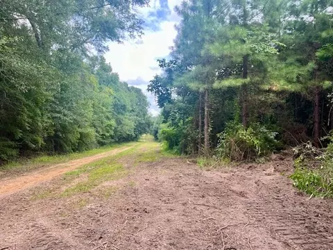 0000 Tynes Rd, Sandy Hook, MS 39478 photo 4