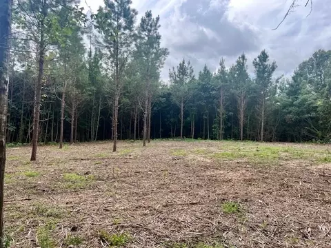 0000 Tynes Rd, Sandy Hook, MS 39478 photo 3