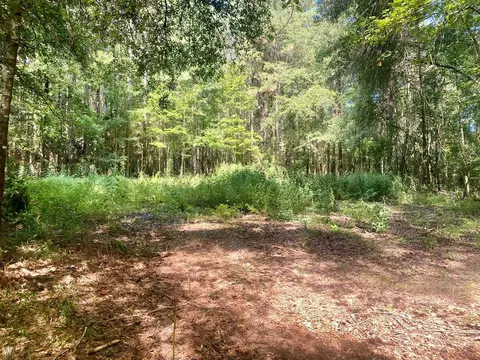 000 Hulon Brister Rd, Jayess, MS 39641 photo 9