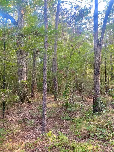000 Hulon Brister Rd, Jayess, MS 39641 photo 4