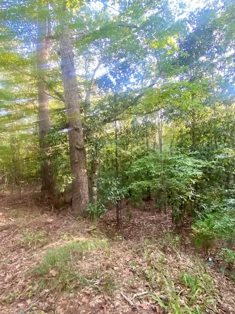 000 Hulon Brister Rd, Jayess, MS 39641 photo 6