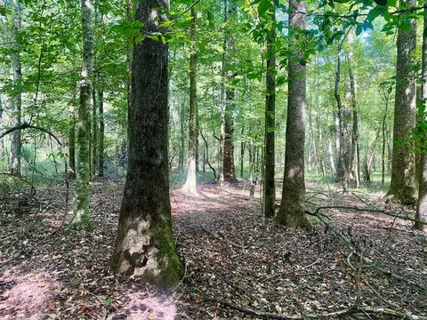 000 Hulon Brister Rd, Jayess, MS 39641 photo 12