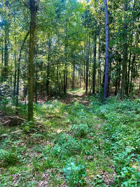 000 Hulon Brister Rd, Jayess, MS 39641 photo 11