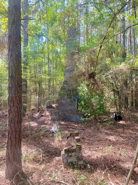 000 Hulon Brister Rd, Jayess, MS 39641 photo 13