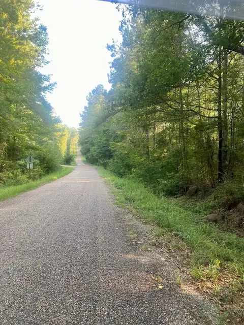 000 Hulon Brister Rd, Jayess, MS 39641