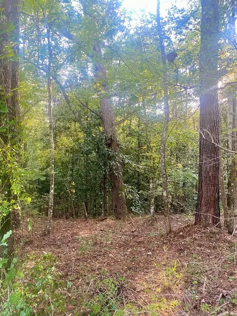 000 Hulon Brister Rd, Jayess, MS 39641 photo 5
