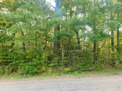 000 Hulon Brister Rd, Jayess, MS 39641 photo 3