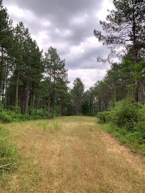. Pickwick Road, Foxworth, MS 39483 photo 52