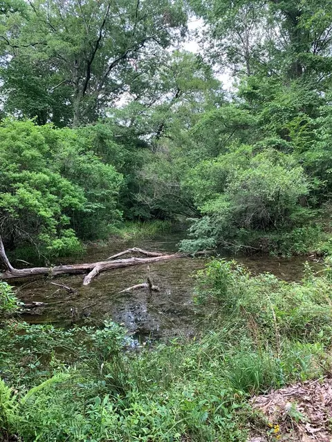 . Pickwick Road, Foxworth, MS 39483 photo 34