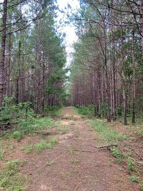 . Pickwick Road, Foxworth, MS 39483 photo 14