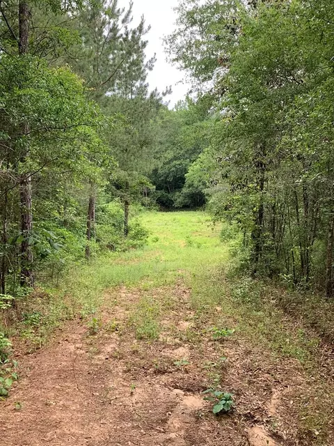 . Pickwick Road, Foxworth, MS 39483 photo 46