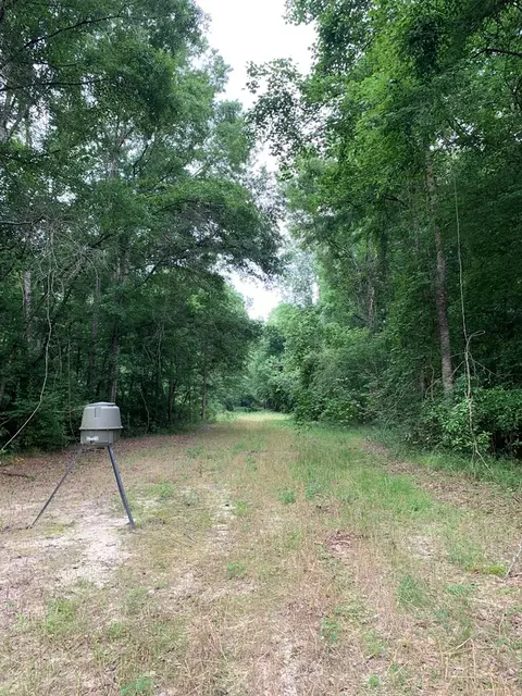 . Pickwick Road, Foxworth, MS 39483 photo 32