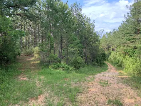 . Pickwick Road, Foxworth, MS 39483 photo 12