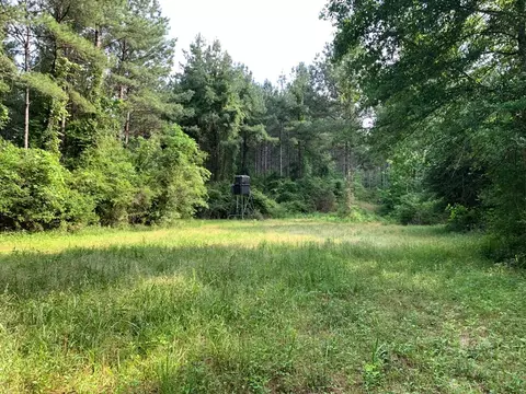 . Pickwick Road, Foxworth, MS 39483 photo 7