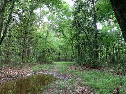. Pickwick Road, Foxworth, MS 39483 photo 43