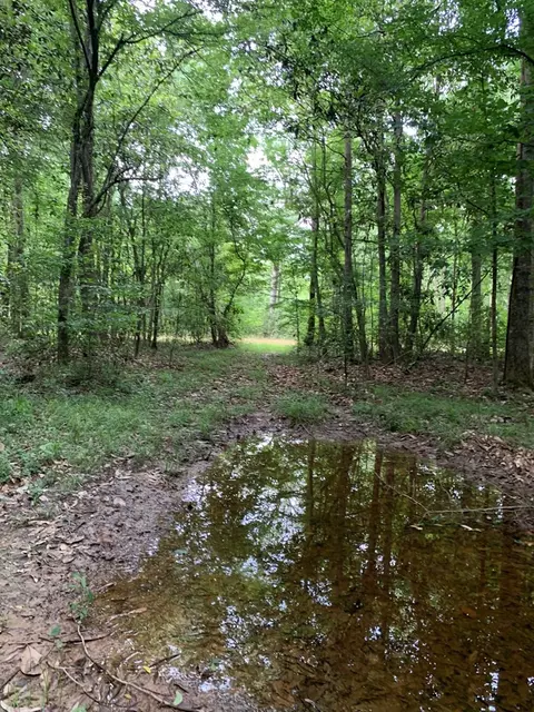 . Pickwick Road, Foxworth, MS 39483 photo 30