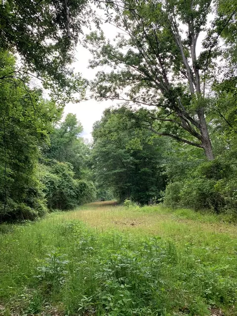 . Pickwick Road, Foxworth, MS 39483 photo 36