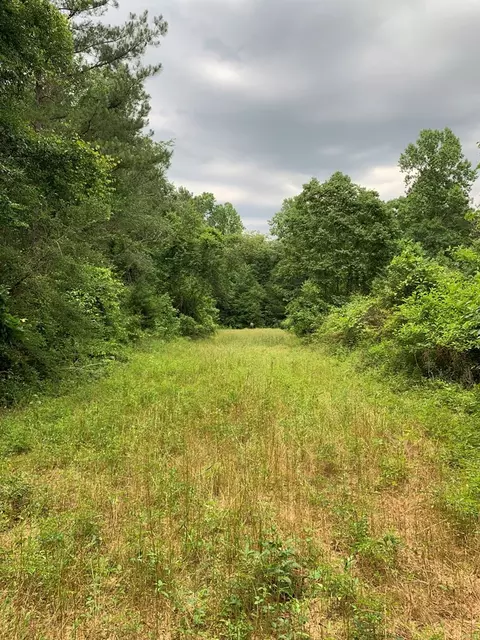 . Pickwick Road, Foxworth, MS 39483 photo 60