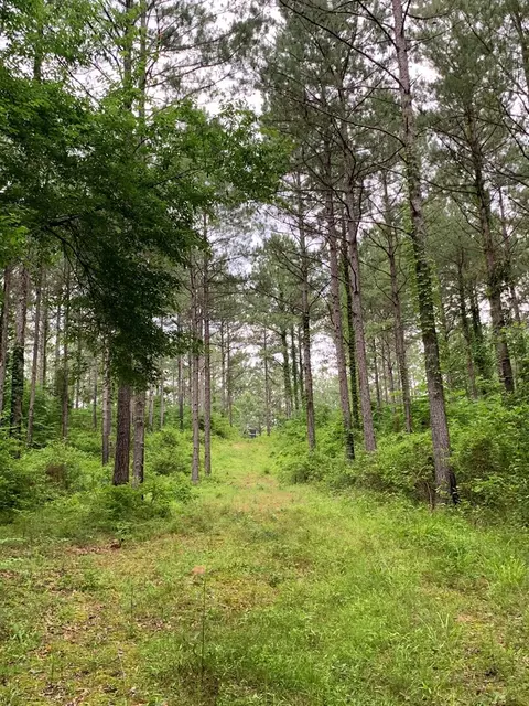 . Pickwick Road, Foxworth, MS 39483 photo 55