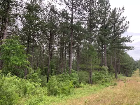 . Pickwick Road, Foxworth, MS 39483 photo 57