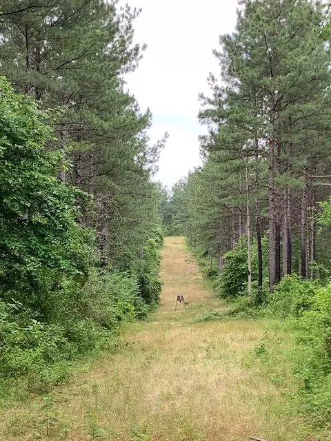 . Pickwick Road, Foxworth, MS 39483 photo 56