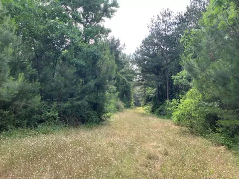 . Pickwick Road, Foxworth, MS 39483 photo 2
