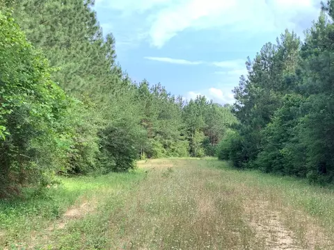 . Pickwick Road, Foxworth, MS 39483 photo 20
