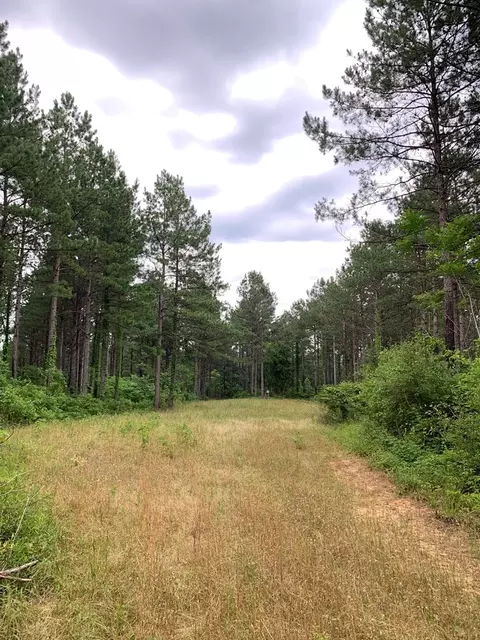 . Pickwick Road, Foxworth, MS 39483 photo 51