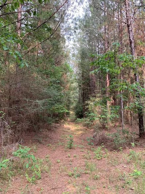 . Pickwick Road, Foxworth, MS 39483 photo 26