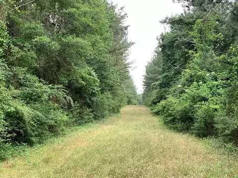 . Pickwick Road, Foxworth, MS 39483 photo 3
