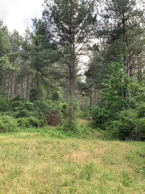 . Pickwick Road, Foxworth, MS 39483 photo 8