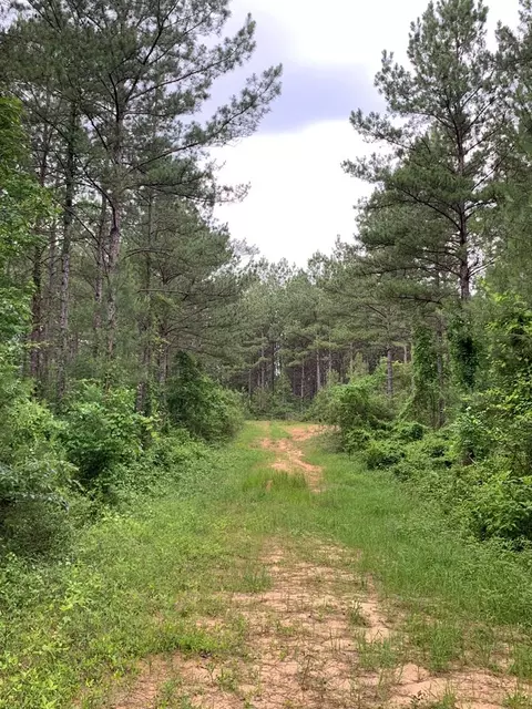 . Pickwick Road, Foxworth, MS 39483 photo 50