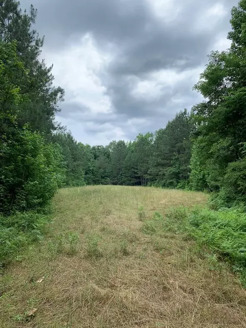 . Pickwick Road, Foxworth, MS 39483 photo 48