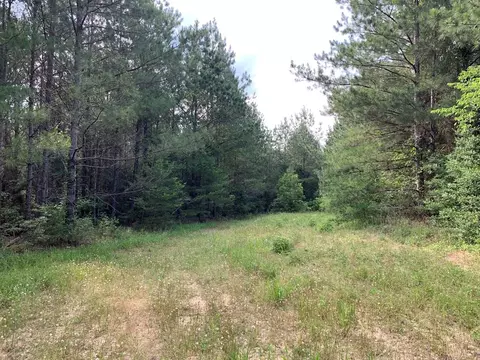 . Pickwick Road, Foxworth, MS 39483 photo 18