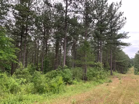 . Pickwick Road, Foxworth, MS 39483 photo 58