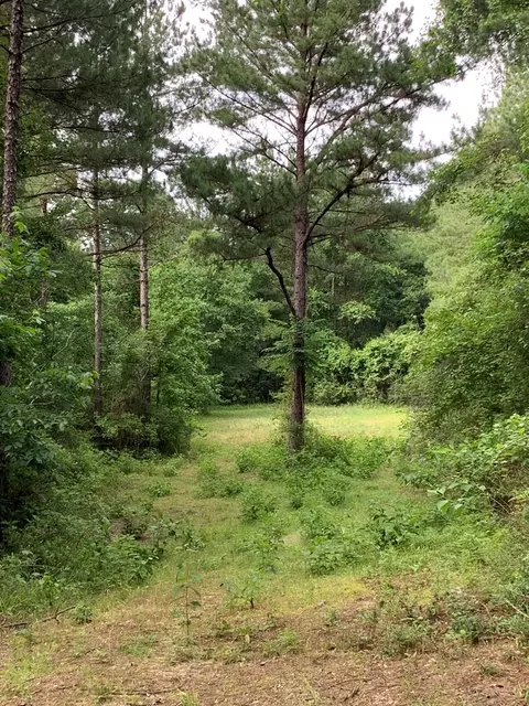 . Pickwick Road, Foxworth, MS 39483 photo 11