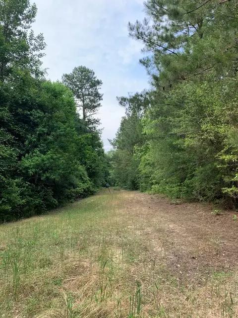 . Pickwick Road, Foxworth, MS 39483 photo 22