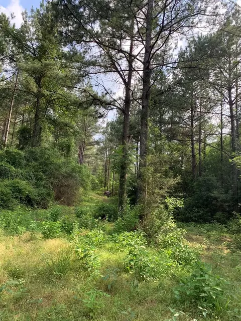 . Pickwick Road, Foxworth, MS 39483 photo 6