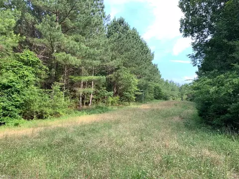 . Pickwick Road, Foxworth, MS 39483 photo 19