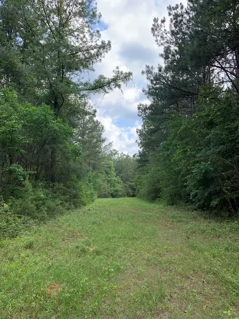 . Pickwick Road, Foxworth, MS 39483 photo 4
