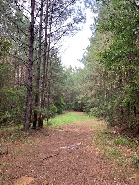 . Pickwick Road, Foxworth, MS 39483 photo 28