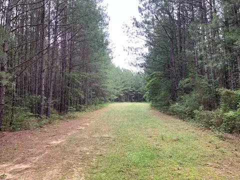 . Pickwick Road, Foxworth, MS 39483 photo 62