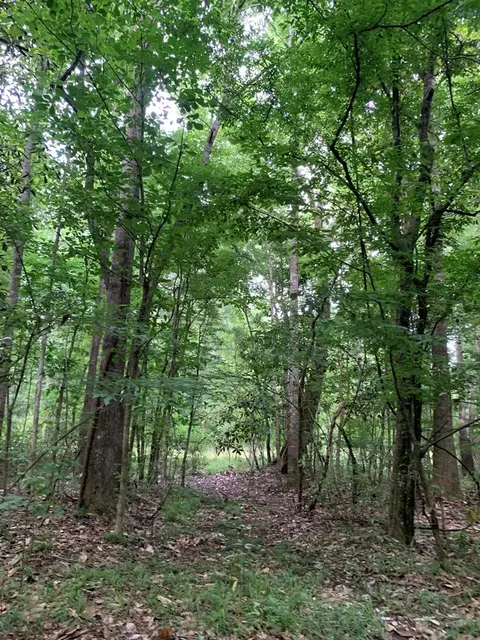 . Pickwick Road, Foxworth, MS 39483 photo 31