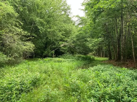 . Pickwick Road, Foxworth, MS 39483 photo 35