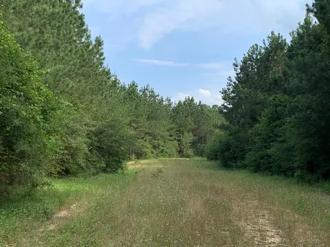 . Pickwick Road, Foxworth, MS 39483 photo 21