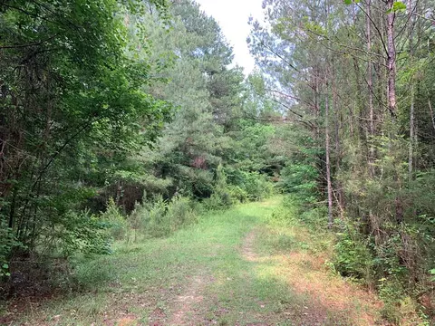 . Pickwick Road, Foxworth, MS 39483 photo 15