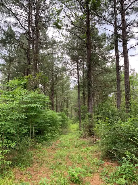 . Pickwick Road, Foxworth, MS 39483 photo 59