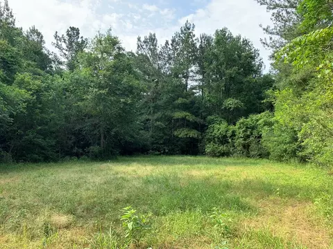 . Pickwick Road, Foxworth, MS 39483 photo 5